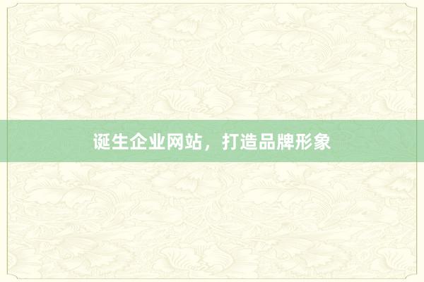 诞生企业网站，打造品牌形象